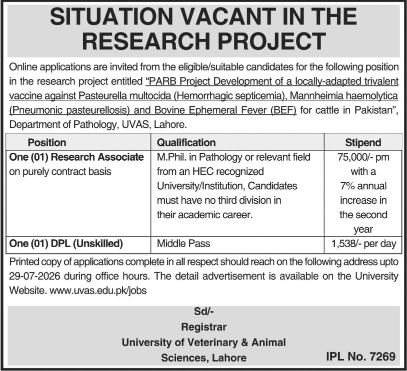 Job Image