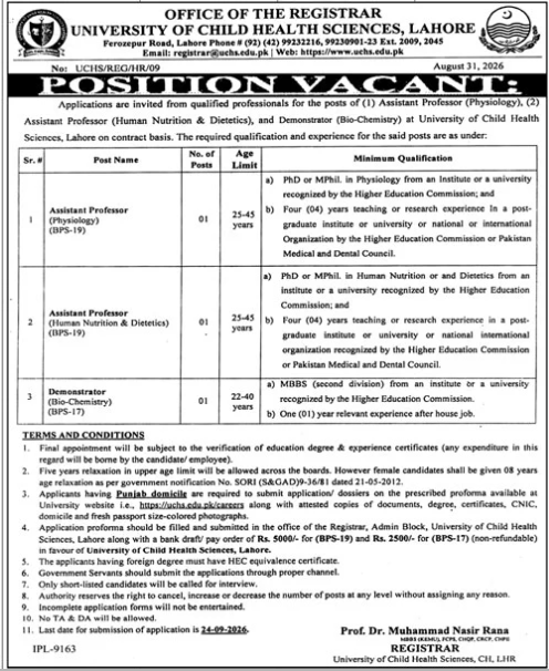 Job Image